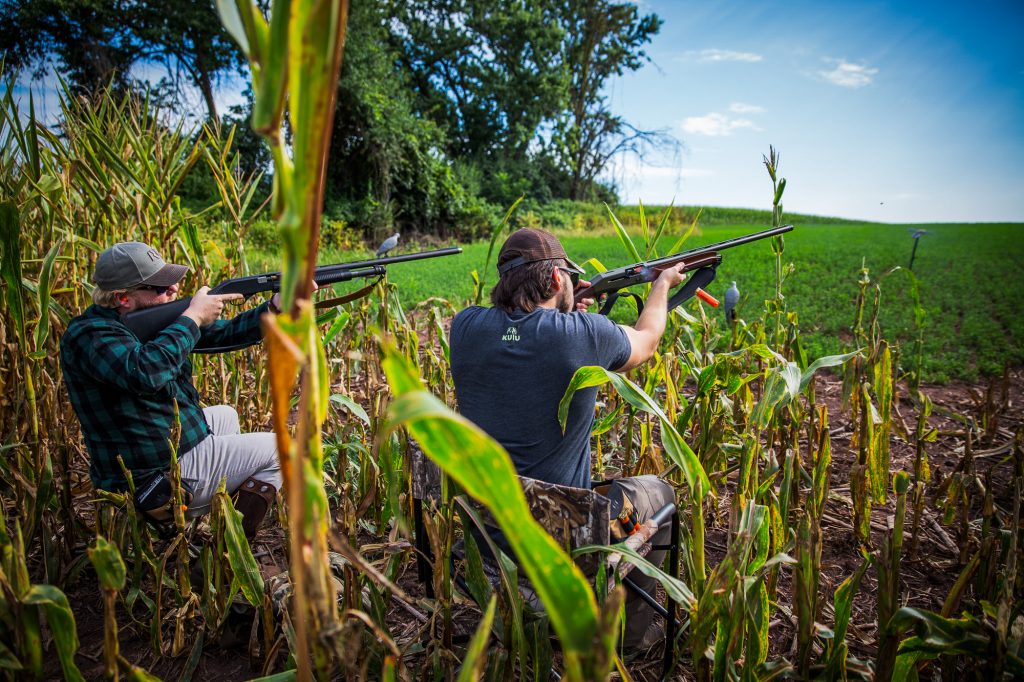 5 Dove Hunting Tips For Shooting More Doves BlackHeart