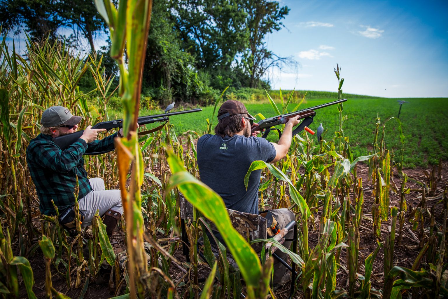 5-dove-hunting-tips-for-shooting-more-doves-blackheart