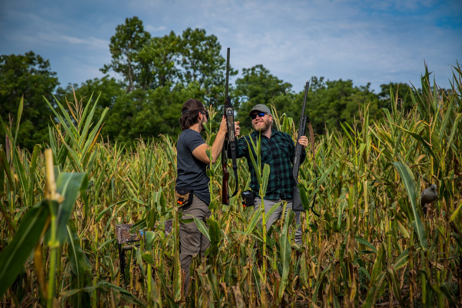 5 Dove Hunting Tips For Shooting More Doves BlackHeart